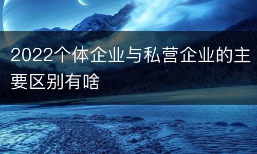 2022个体企业与私营企业的主要区别有啥