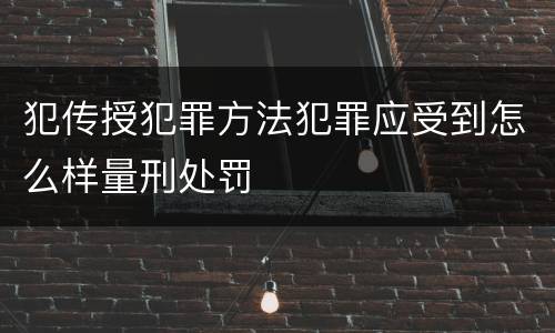 犯传授犯罪方法犯罪应受到怎么样量刑处罚