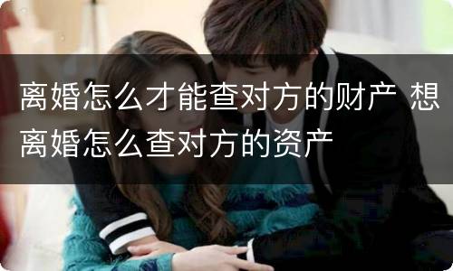 离婚怎么才能查对方的财产 想离婚怎么查对方的资产