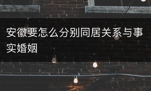 安徽要怎么分别同居关系与事实婚姻