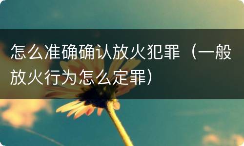怎么准确确认放火犯罪（一般放火行为怎么定罪）