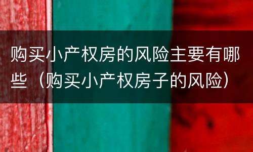 购买小产权房的风险主要有哪些（购买小产权房子的风险）