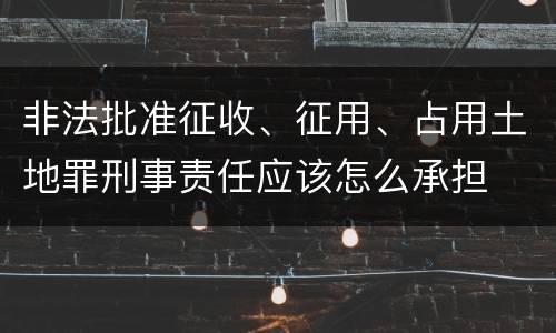 非法批准征收、征用、占用土地罪刑事责任应该怎么承担