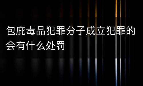 包庇毒品犯罪分子成立犯罪的会有什么处罚