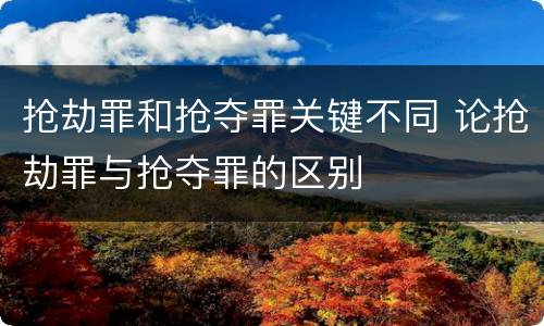 抢劫罪和抢夺罪关键不同 论抢劫罪与抢夺罪的区别