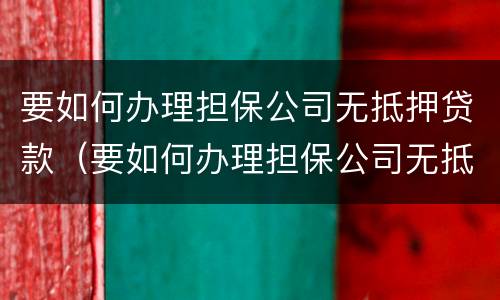 要如何办理担保公司无抵押贷款（要如何办理担保公司无抵押贷款手续）