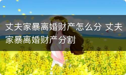 丈夫家暴离婚财产怎么分 丈夫家暴离婚财产分割