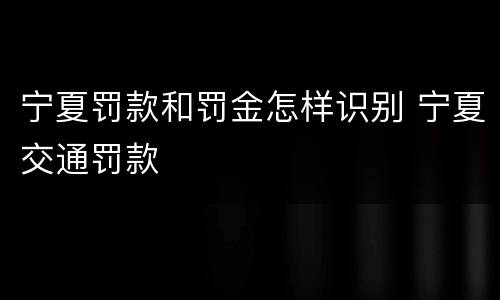 宁夏罚款和罚金怎样识别 宁夏交通罚款