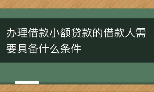 办理借款小额贷款的借款人需要具备什么条件