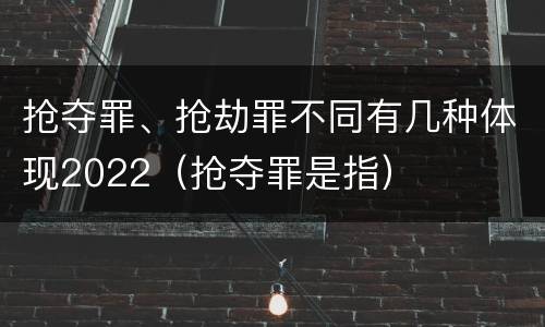 抢夺罪、抢劫罪不同有几种体现2022（抢夺罪是指）