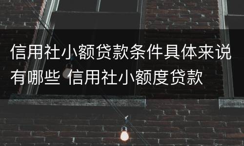 信用社小额贷款条件具体来说有哪些 信用社小额度贷款