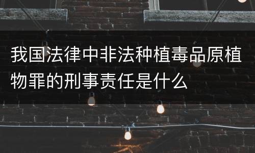 我国法律中非法种植毒品原植物罪的刑事责任是什么