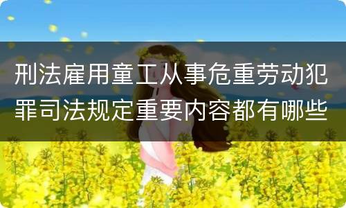 刑法雇用童工从事危重劳动犯罪司法规定重要内容都有哪些