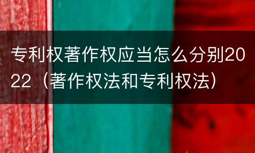 专利权著作权应当怎么分别2022（著作权法和专利权法）