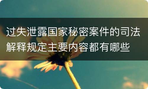 过失泄露国家秘密案件的司法解释规定主要内容都有哪些