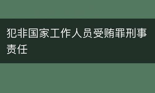 犯非国家工作人员受贿罪刑事责任