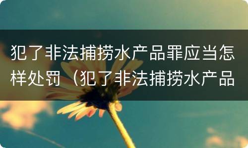 犯了非法捕捞水产品罪应当怎样处罚（犯了非法捕捞水产品罪应当怎样处罚他人）