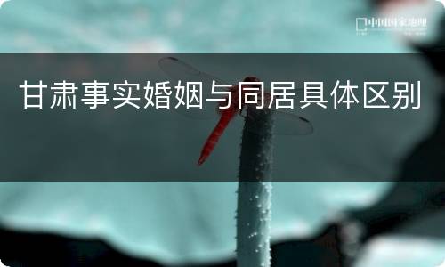 甘肃事实婚姻与同居具体区别