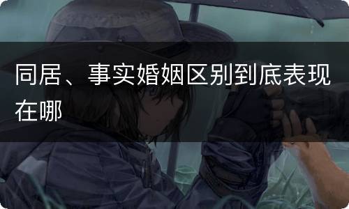 同居、事实婚姻区别到底表现在哪
