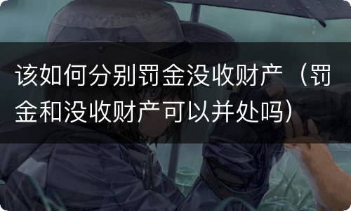 该如何分别罚金没收财产（罚金和没收财产可以并处吗）