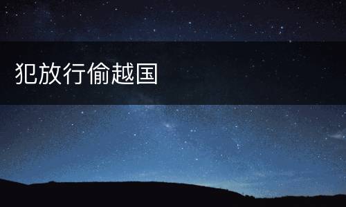 犯放行偷越国