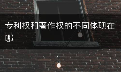 专利权和著作权的不同体现在哪