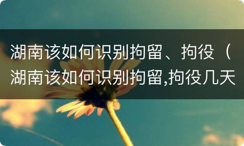湖南该如何识别拘留、拘役（湖南该如何识别拘留,拘役几天）