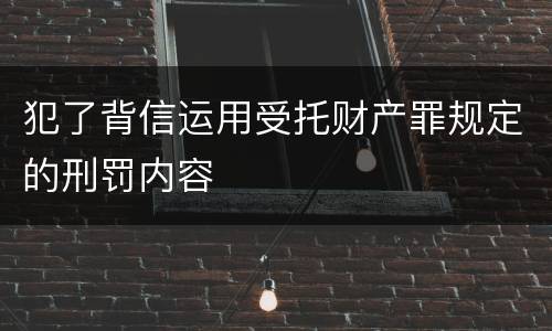 犯了背信运用受托财产罪规定的刑罚内容
