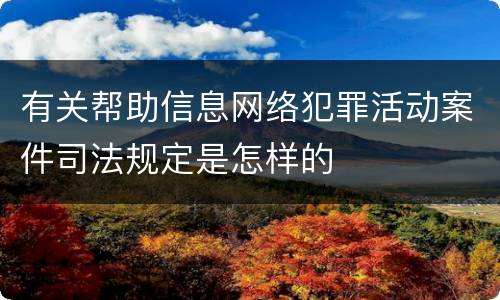 有关帮助信息网络犯罪活动案件司法规定是怎样的