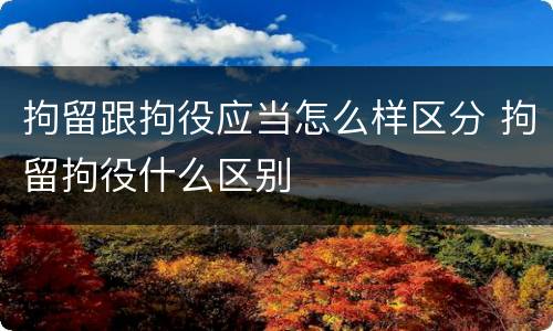 拘留跟拘役应当怎么样区分 拘留拘役什么区别