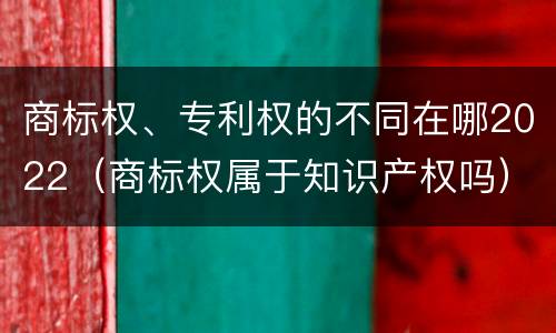商标权、专利权的不同在哪2022（商标权属于知识产权吗）