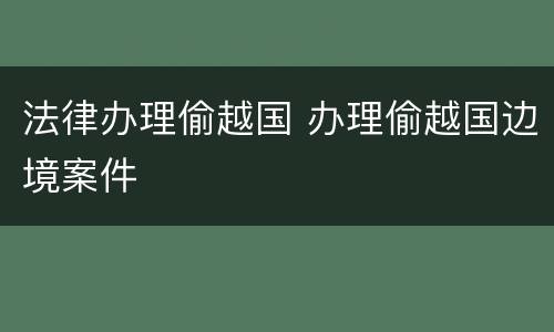 法律办理偷越国 办理偷越国边境案件