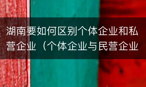 湖南要如何区别个体企业和私营企业（个体企业与民营企业有啥不同）