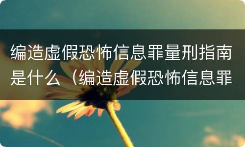 编造虚假恐怖信息罪量刑指南是什么（编造虚假恐怖信息罪立案标准）