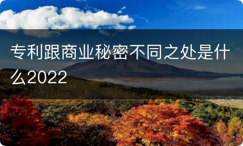 专利跟商业秘密不同之处是什么2022