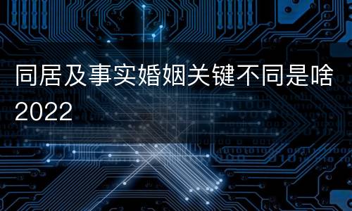 同居及事实婚姻关键不同是啥2022