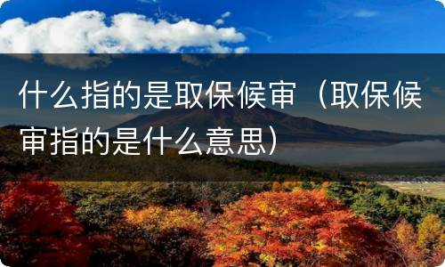 什么指的是取保候审（取保候审指的是什么意思）