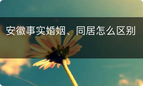 安徽事实婚姻、同居怎么区别