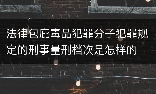 法律包庇毒品犯罪分子犯罪规定的刑事量刑档次是怎样的