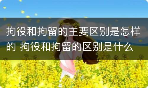 拘役和拘留的主要区别是怎样的 拘役和拘留的区别是什么