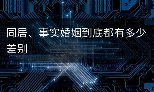 同居、事实婚姻到底都有多少差别