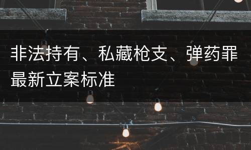 非法持有、私藏枪支、弹药罪最新立案标准