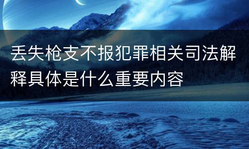 丢失枪支不报犯罪相关司法解释具体是什么重要内容