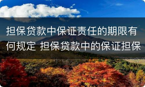担保贷款中保证责任的期限有何规定 担保贷款中的保证担保