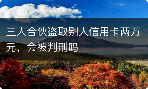 三人合伙盗取别人信用卡两万元，会被判刑吗