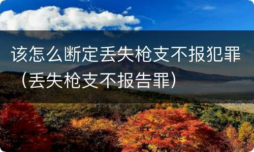 该怎么断定丢失枪支不报犯罪（丢失枪支不报告罪）