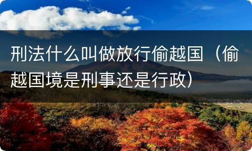 刑法什么叫做放行偷越国（偷越国境是刑事还是行政）