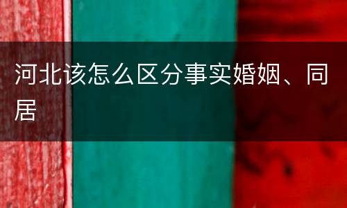 河北该怎么区分事实婚姻、同居