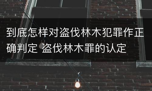 到底怎样对盗伐林木犯罪作正确判定 盗伐林木罪的认定