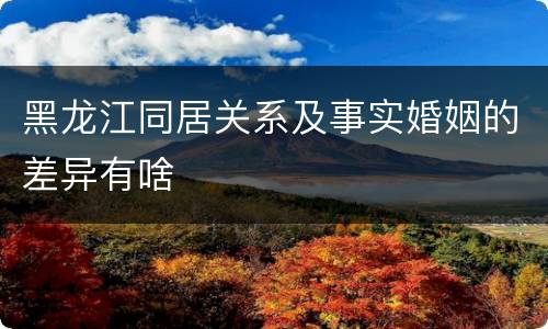 黑龙江同居关系及事实婚姻的差异有啥